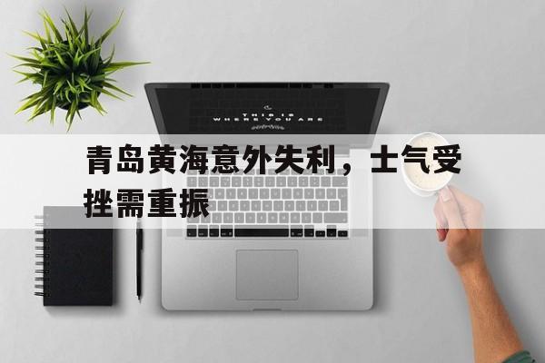开云官方app下载站-青岛黄海队最新情况