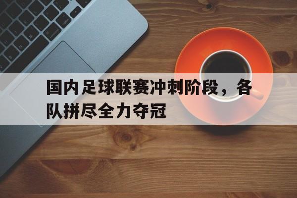开云中国-国内足球联赛冲刺阶段,各队拼尽全力夺冠